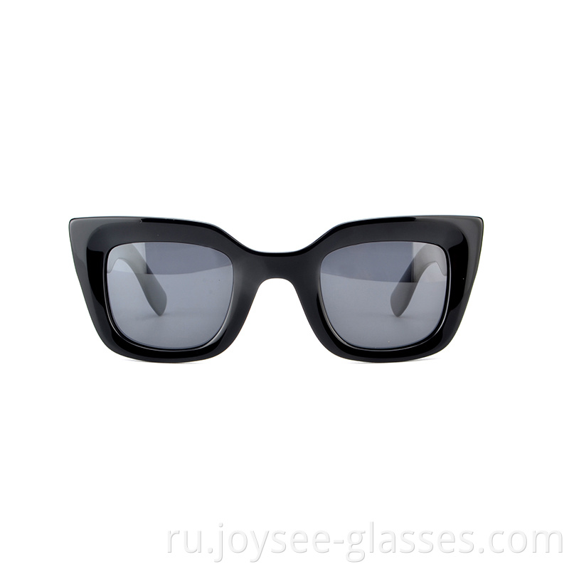 Ladies Sunglasses 1